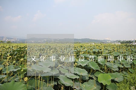 文化事业建设费逾期申报能处罚 文化事业建设费逾期申报能处罚