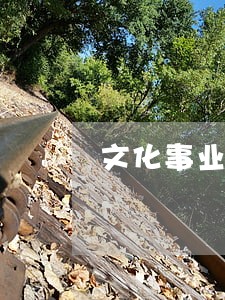 文化事业建设费逾期罚款