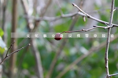 文化事业建设费零申报逾期 文化事业建设费零申报逾期