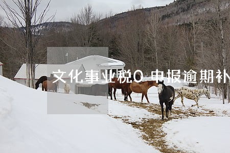 文化事业税0申报逾期补申报 文化事业税0申报逾期补申报