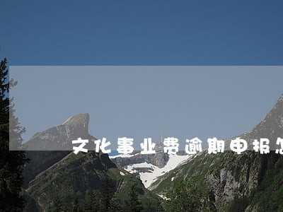 文化事业费逾期申报怎么办 文化事业费逾期申报怎么办