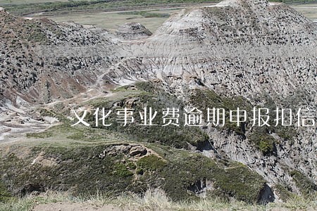 文化事业费逾期申报扣信用评价吗 文化事业费逾期申报扣信用评价吗
