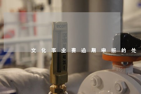 文化事业费逾期申报的处罚