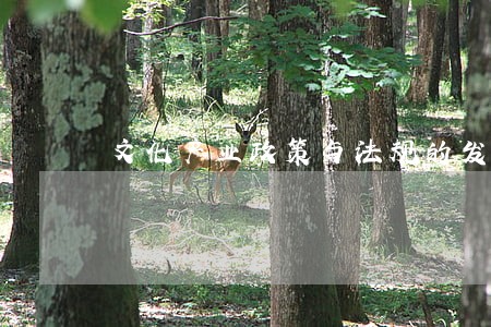 文化产业政策与法规的发展过程