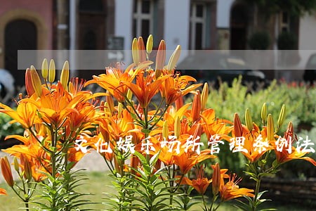 文化娱乐场所管理条例法规解读 文化娱乐场所管理条例法规解读