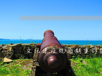 文化建设税逾期要罚款吗 文化建设税逾期要罚款吗