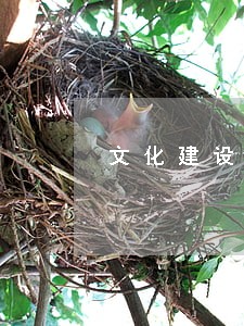 文化建设逾期费是什么原因 文化建设逾期费是什么原因