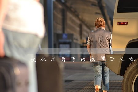 文化视角下的法律正义观 文化视角下的法律正义观