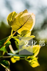 文化部查处网游违法违规案件 文化部查处网游违法违规案件