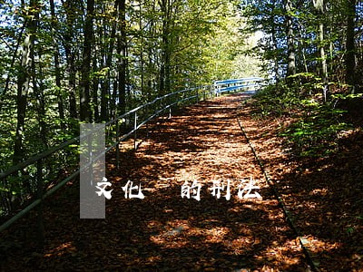 文化際的刑法 文化際的刑法