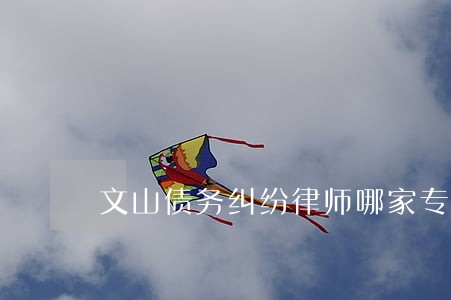 文山债务纠纷律师哪家专业 文山债务纠纷律师哪家专业