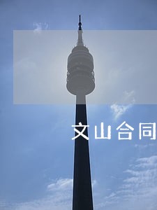 文山合同债务纠纷律师 文山合同债务纠纷律师