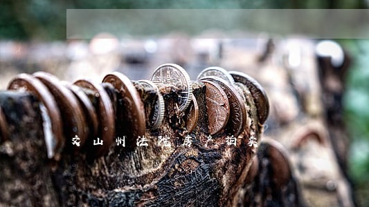 文山州法院房产拍卖 文山州法院房产拍卖
