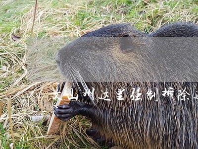文山州这里强制拆除违法建筑通告 文山州这里强制拆除违法建筑通告
