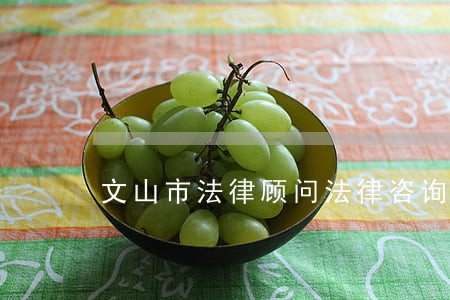 文山市法律顾问法律咨询热线 文山市法律顾问法律咨询热线