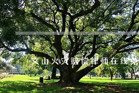 文山火灾赔偿律师在线免费咨询 文山火灾赔偿律师在线免费咨询