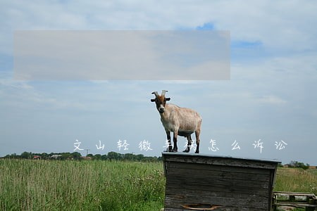 文山轻微车祸怎么诉讼 文山轻微车祸怎么诉讼