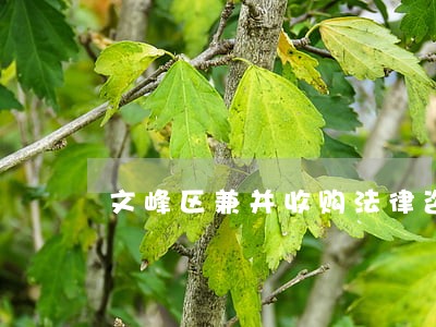 文峰区兼并收购法律咨询热线