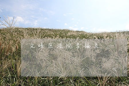 文峰区法院李福良