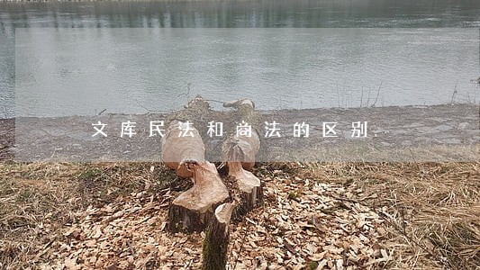 文库民法和商法的区别 文库民法和商法的区别