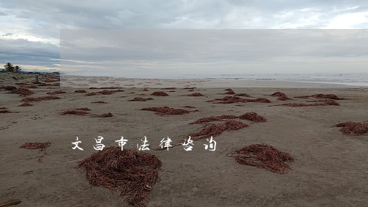 文昌市法律咨询 文昌市法律咨询