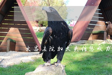 文昌法院加大失信惩戒力度 文昌法院加大失信惩戒力度