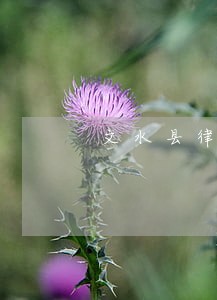 文水县律师在线免费法律咨询 文水县律师在线免费法律咨询