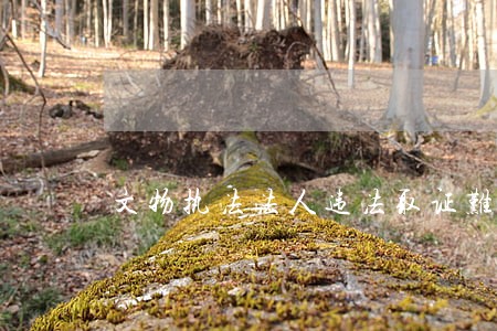 文物执法法人违法取证难