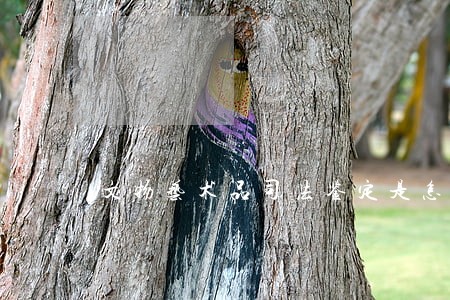 文物艺术品司法鉴定是怎么一回事 文物艺术品司法鉴定是怎么一回事