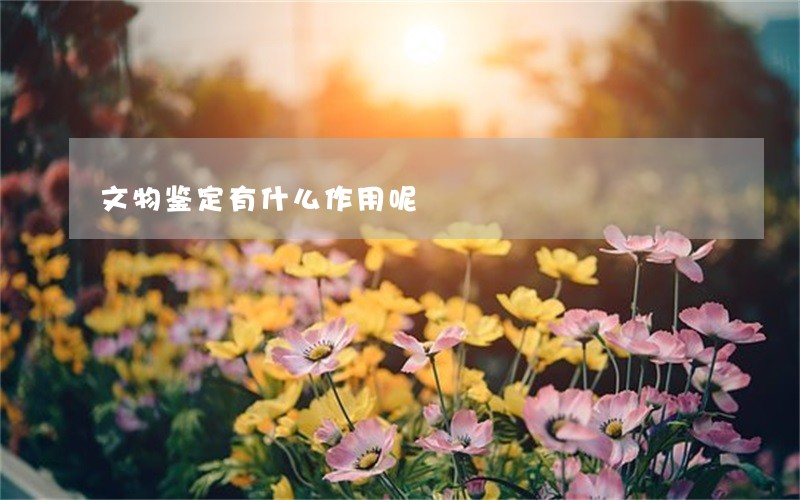 文物鉴定有什么作用呢 文物鉴定有什么作用呢
