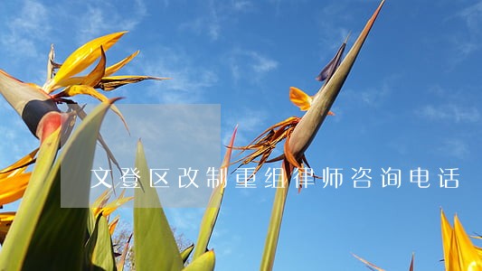 文登区改制重组律师咨询电话 文登区改制重组律师咨询电话