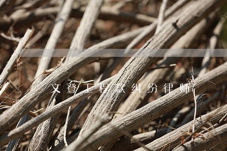 文登工程款纠纷律师 文登工程款纠纷律师