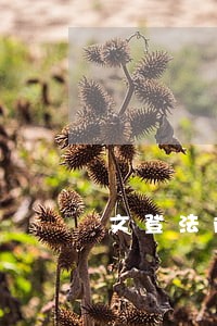 文登法院调解办公室