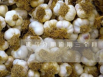 斑马分期逾期三个月 斑马分期逾期三个月