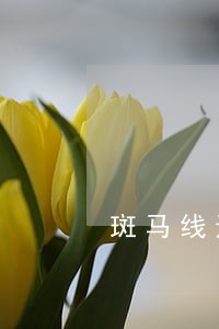 斑马线违法取证依据 斑马线违法取证依据