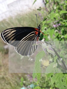 斗殴找律师要多少钱 斗殴找律师要多少钱