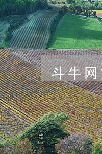 斗牛网贷逾期 斗牛网贷逾期
