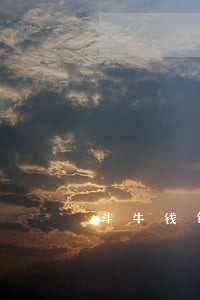 斗牛钱包逾期一个月了 斗牛钱包逾期一个月了