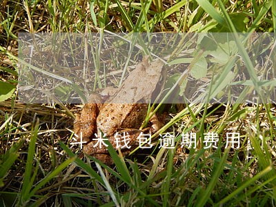 斗米钱包逾期费用 斗米钱包逾期费用