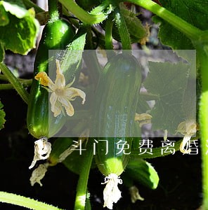 斗门免费离婚法律咨询 斗门免费离婚法律咨询