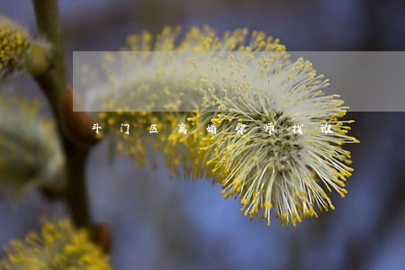 斗门区离婚律师找谁 斗门区离婚律师找谁