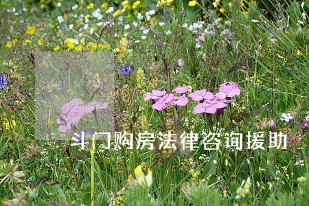 斗门购房法律咨询援助 斗门购房法律咨询援助