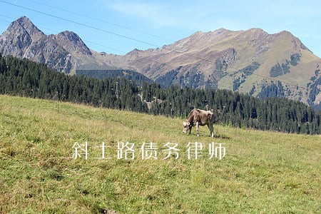 斜土路债务律师 斜土路债务律师