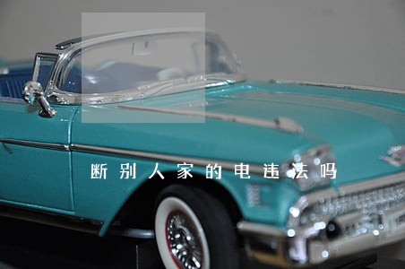 断别人家的电违法吗 断别人家的电违法吗