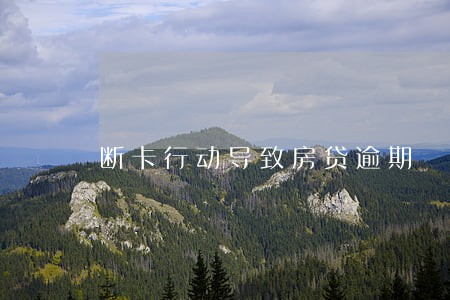 断卡行动导致房贷逾期