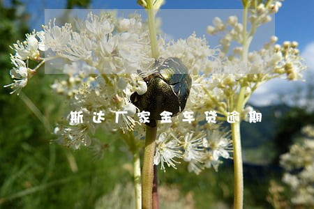 斯达厂家金车贷逾期