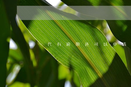 新一代有逾期还可以申请吗 新一代有逾期还可以申请吗