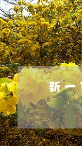 新一贷保险逾期利息 新一贷保险逾期利息