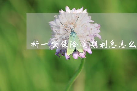新一贷保险逾期利息怎么算 新一贷保险逾期利息怎么算