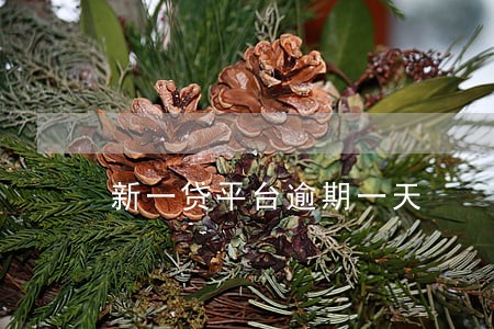 新一贷平台逾期一天 新一贷平台逾期一天